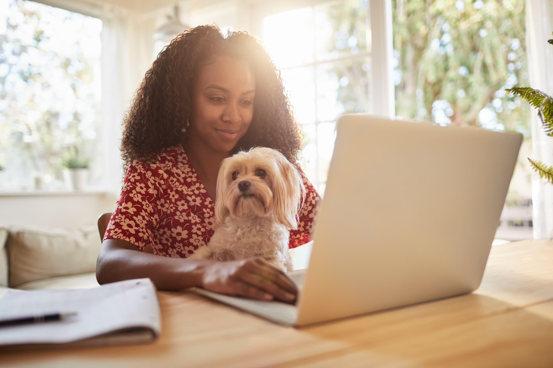 woman and dog in laptop