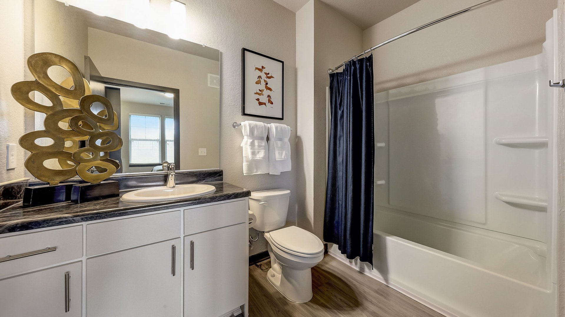 Modern Bathrooms at Authentix Cartersvile in Cartersville, GA