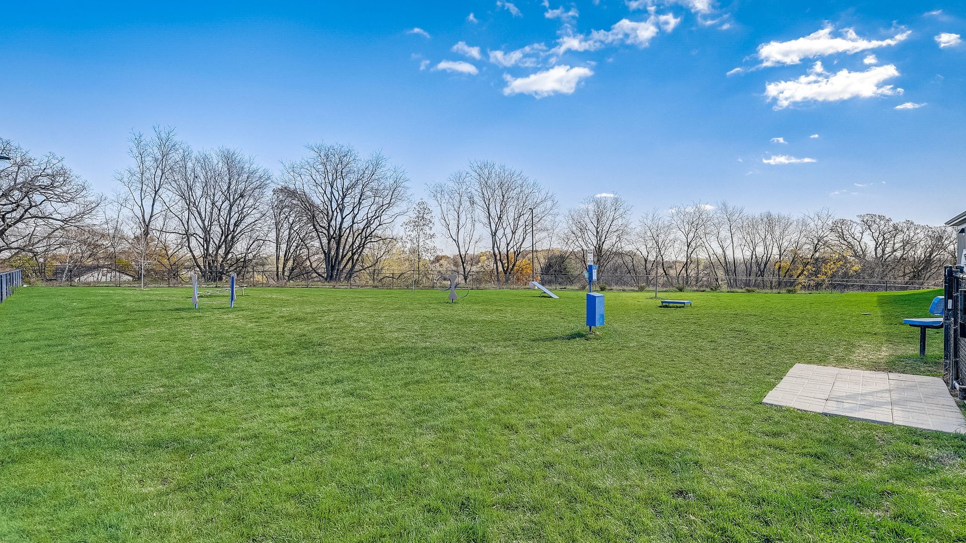 Cottage Grove Pet Park (3)