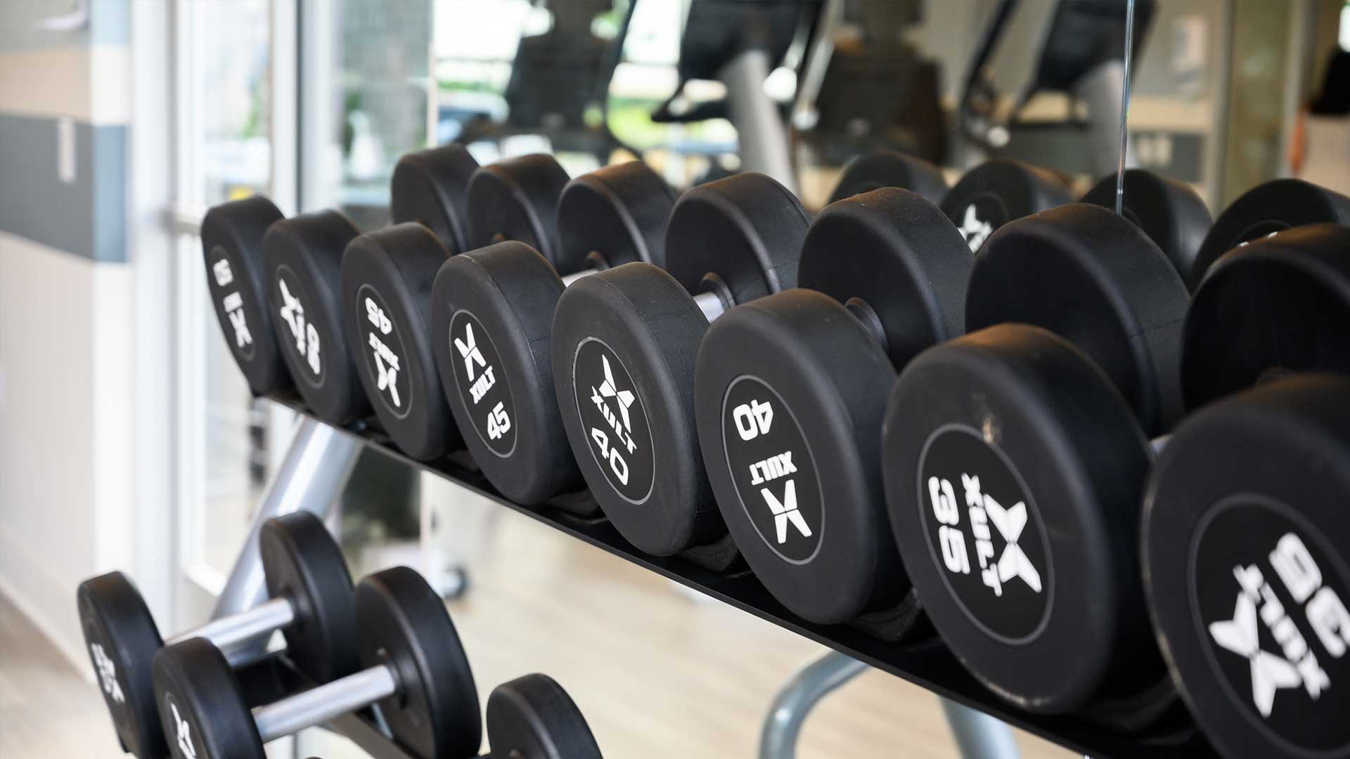 Free weights in fitness center